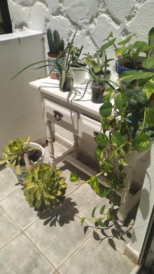 Pino'S Vivienda Vacacional Costa Del Silencio Dış mekan fotoğraf